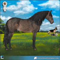 Horse Color:Brown Dun Rabicano Brindle 