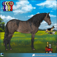 Horse Color:Brown Dun Rabicano Brindle