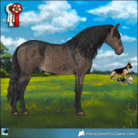 Horse Color:Brown Dun Rabicano Brindle
