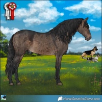 Horse Color:Brown Dun Rabicano Brindle 
