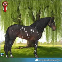 Horse Color:White Spotted Brown 