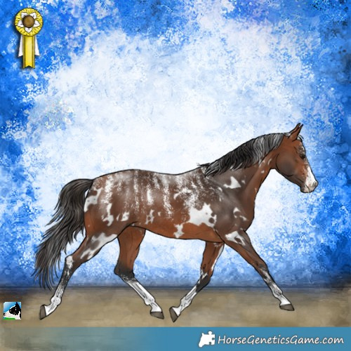 Horse Color:Powder White White Spotted Bay Rabicano 