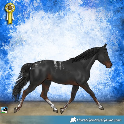 Horse Color:Powder White Liver Chestnut 