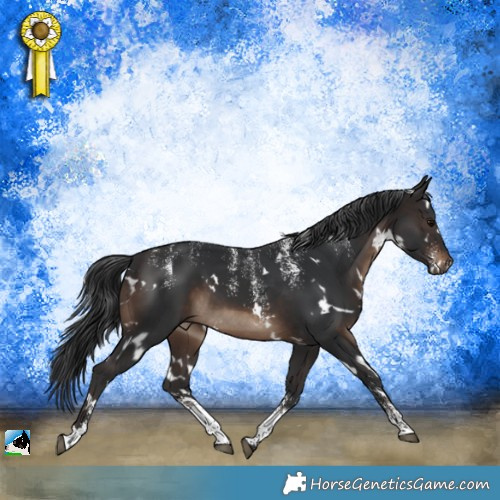 Horse Color:Powder White White Spotted Brown 