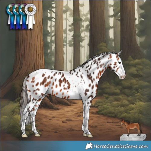 Horse Color:Bay Splash Tobiano Appaloosa 