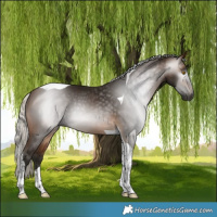 Horse Color:Gray Silver Buckskin Tobiano 