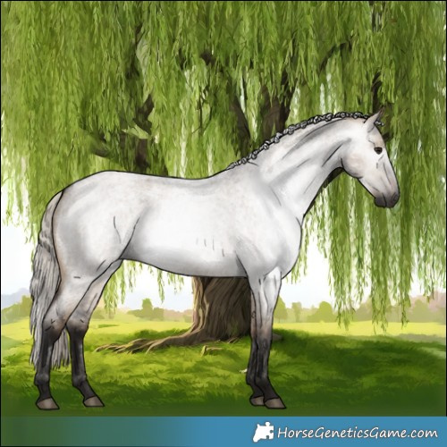 Horse Color:Gray Silver Brown Roan Dun 