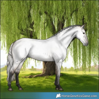 Horse Color:Gray Silver Brown Roan Dun 