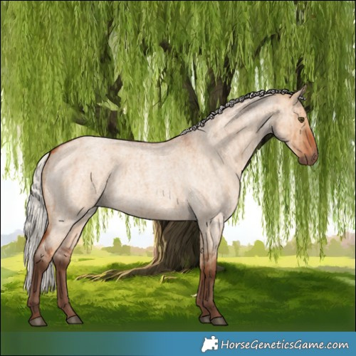Horse Color:Silver Bay Roan Dun Brindle 