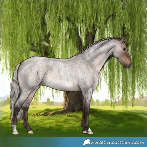 Horse Color:Silver Brown Roan Dun Brindle