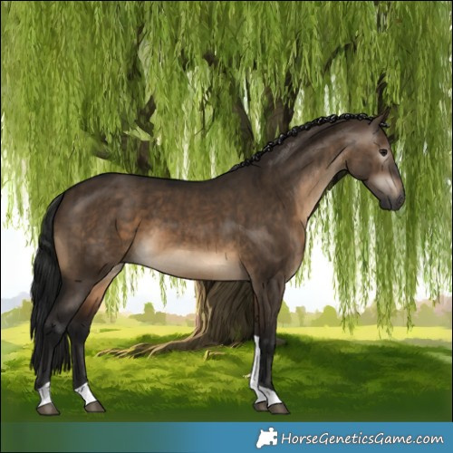 Horse Color:Gray Brown Dun Tobiano Brindle 
