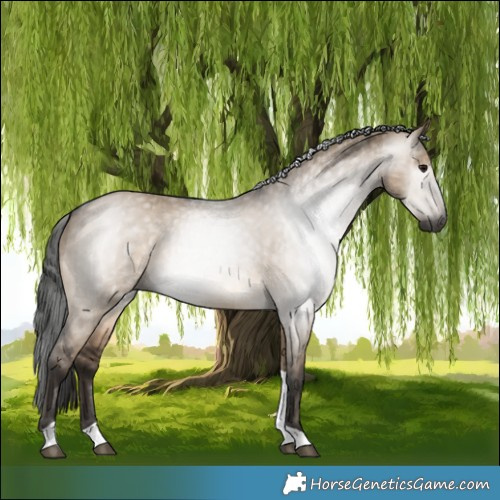 Horse Color:Gray Brown Dun Tobiano Brindle 