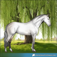 Horse Color:Gray Brown Dun Tobiano Brindle 