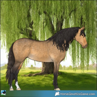 Horse Color:Buckskin Dun Brindle 