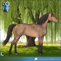 Horse Color:Bay Dun Brindle 