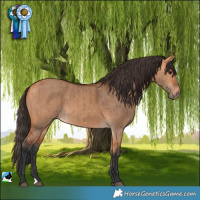 Horse Color:Bay Dun Brindle 