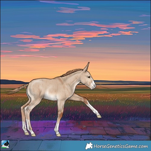 Horse Color:Red Dun Brindle 