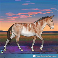 Horse Color:Powder White Bay Dun Brindle