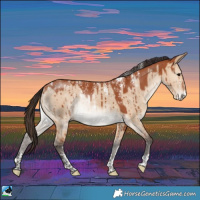 Horse Color:Powder White Bay Dun Brindle 
