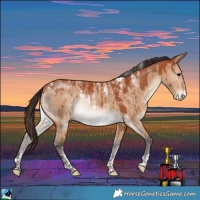 Horse Color:Powder White Bay Dun Brindle 