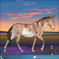 Horse Color:Powder White Bay Dun Brindle