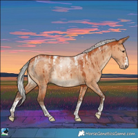 Horse Color:Powder White Silver Bay Dun Rabicano Brindle 