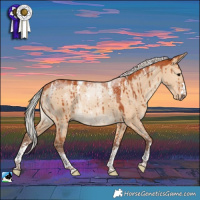 Horse Color:Powder White Silver Bay Dun Rabicano Brindle 