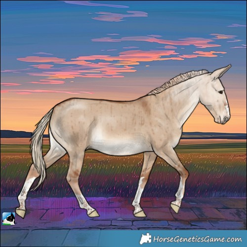 Horse Color:Red Dun Brindle 