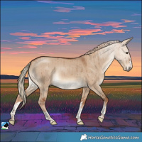Horse Color:Red Dun Brindle 