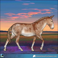 Horse Color:Red Dun Rabicano Brindle
