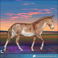 Horse Color:Red Dun Rabicano Brindle