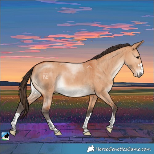 Horse Color:Bay Dun Rabicano Brindle