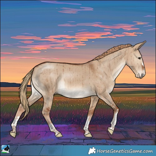 Horse Color:Red Dun Rabicano Brindle 