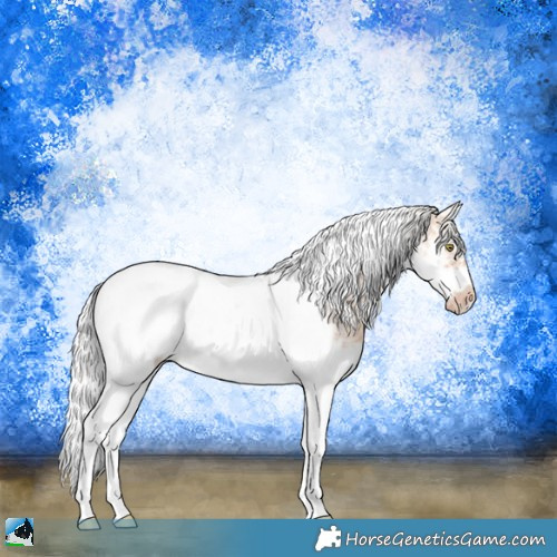 Horse Color:Silver Amber Champagne Ice Splash Tobiano Frame 