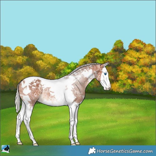 Horse Color:Silver Bay Ice Splash Tobiano 