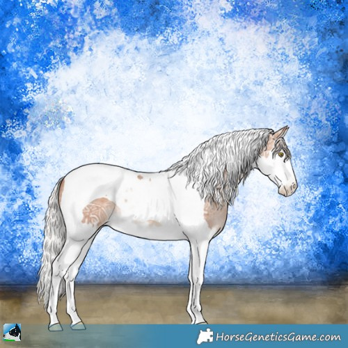 Horse Color:Silver Sable Champagne Ice Splash Tobiano 