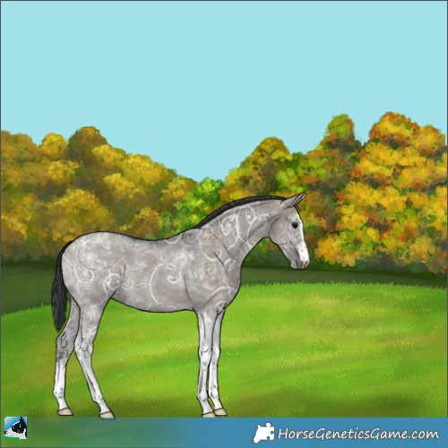 Horse Color:White Spotted Grullo Ice Tobiano 