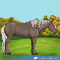 Horse Color:Silver Black 