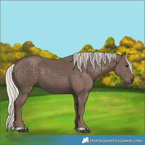 Horse Color:Silver Black 