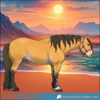 Horse Color:Buckskin 