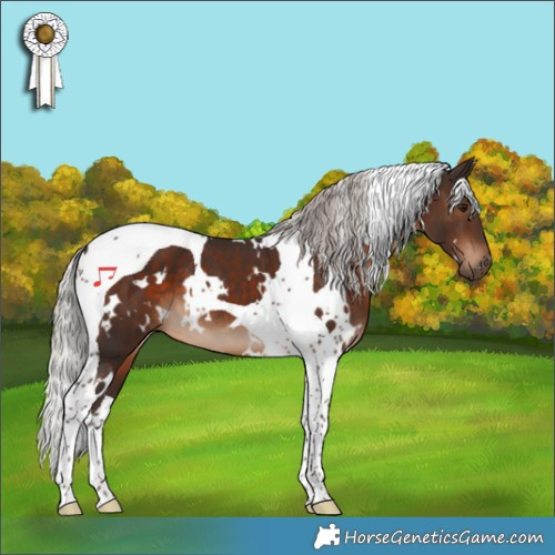 Horse Color:White Spotted Silver Brown Tobiano 