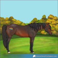 Horse Color:Brown 
