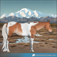 Horse Color:Silver Bay Tobiano Rabicano