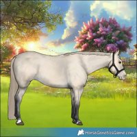 Horse Color:Buckskin Varnish 