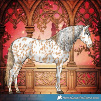 Horse Color:Chestnut Leopard 