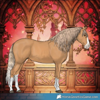 Horse Color:Chestnut Splash 