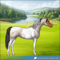 Horse Color:Bay Roan Tobiano