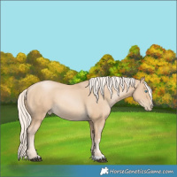 Horse Color:Chestnut Snowdrop Pearl