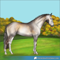 Horse Color:Gray Liver Red Onyx Rabicano