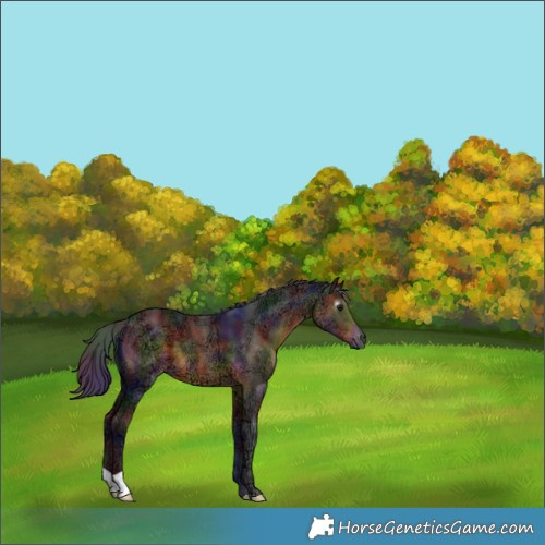 Horse Color:Gray Nacre Buckskin Ice 